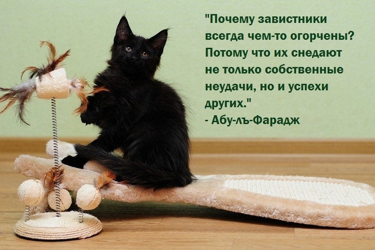 ...Живите своей жизнью,в своем формате,под своим небом!!!!
