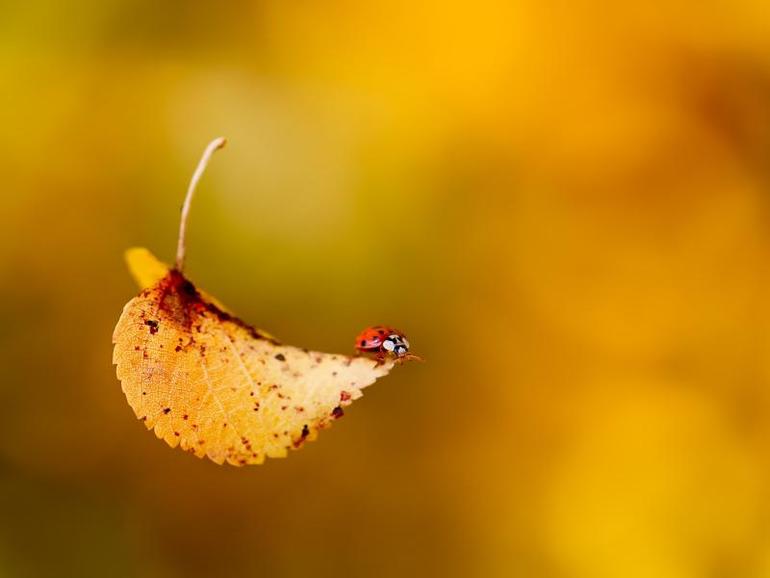 А некоторые...