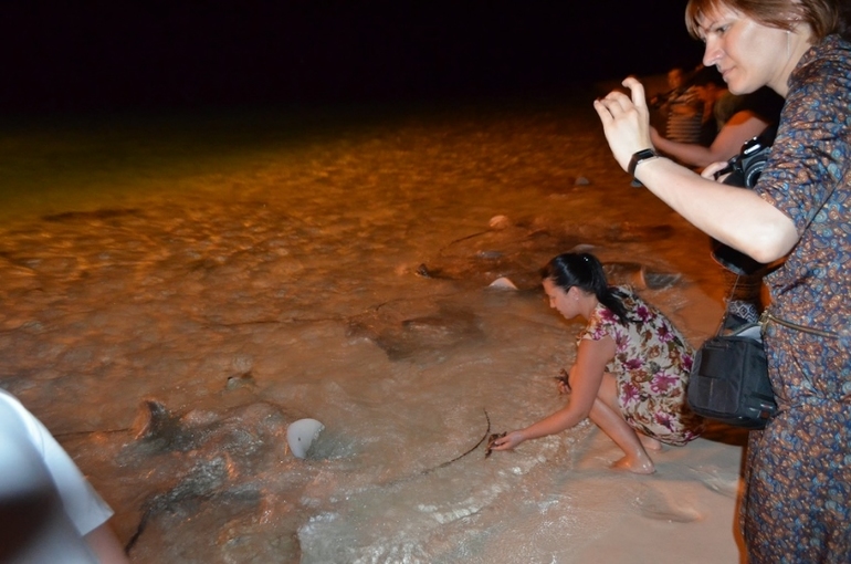 Хороший отель, очаровательное море и скучное питание!