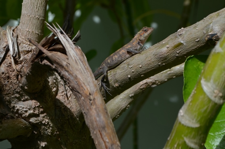 Хороший отель, очаровательное море и скучное питание!