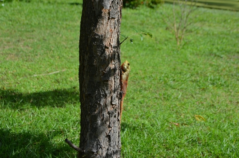 Хороший отель, очаровательное море и скучное питание!