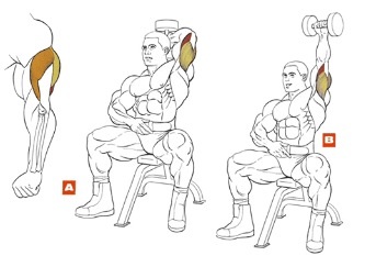 Круговая тренировка