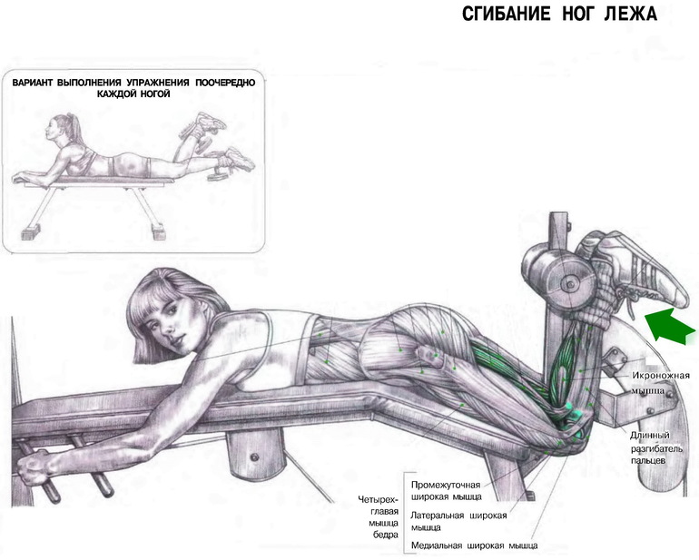 Перехожу на свободные веса:)