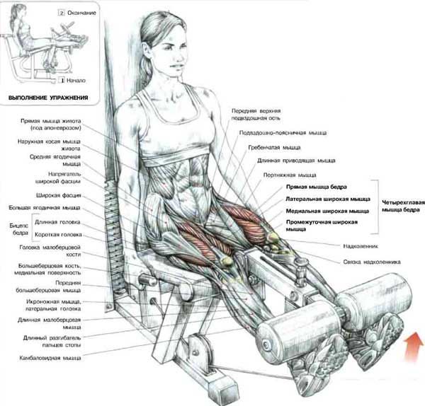Перехожу на свободные веса:)