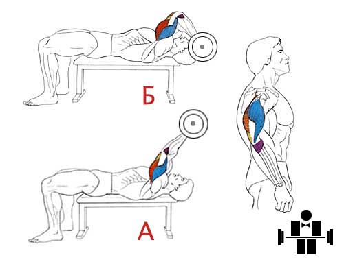 Французский жим техника выполнения. Французский жим лежа со штангой техника. Французский жим штанги на трицепс техника. Французский жим на трицепс техника.