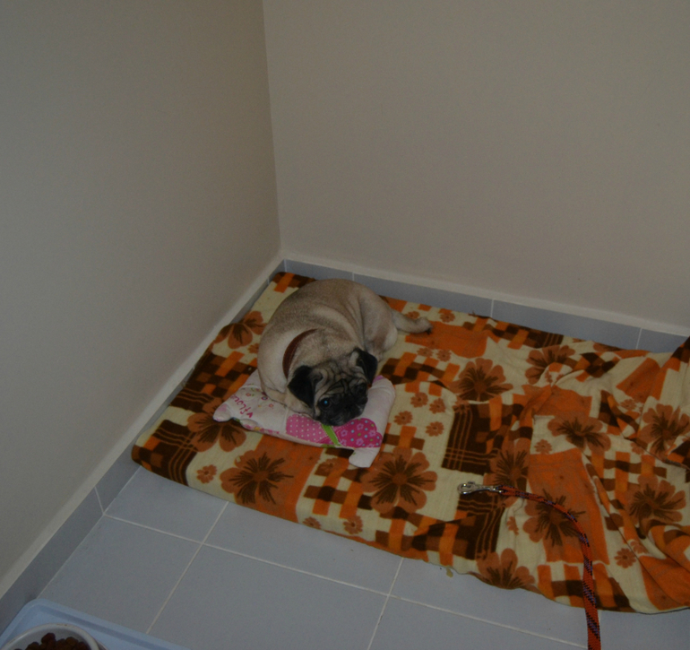 наше новоселье!!