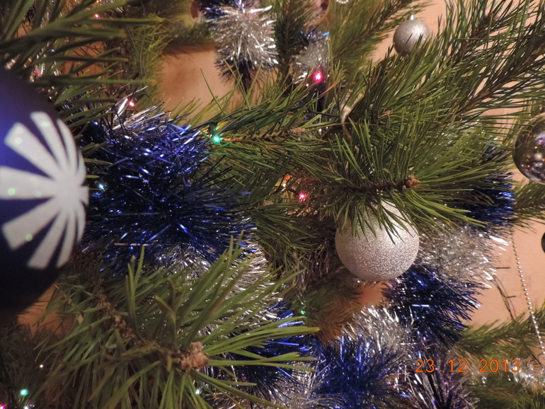 И у нас елочка!