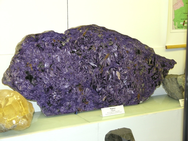 Первый поход в музей с классом