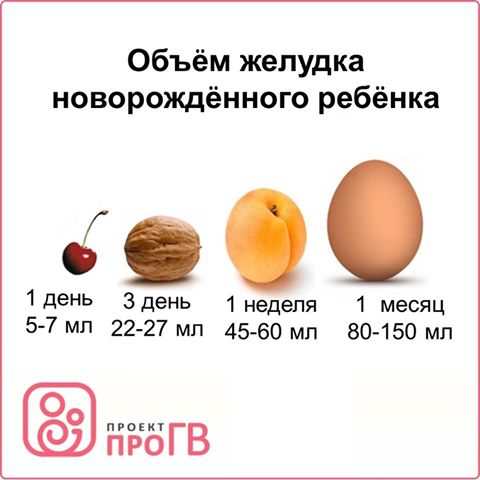 сколько объем желудка. сколько объем желудка. сколько объем желудка. размер желудка новорожденного в 2 месяца. размер желудка новорожденного по неделям.