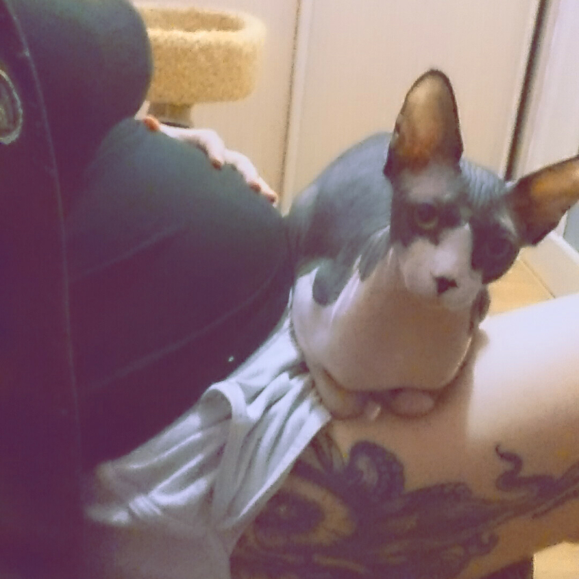 XX