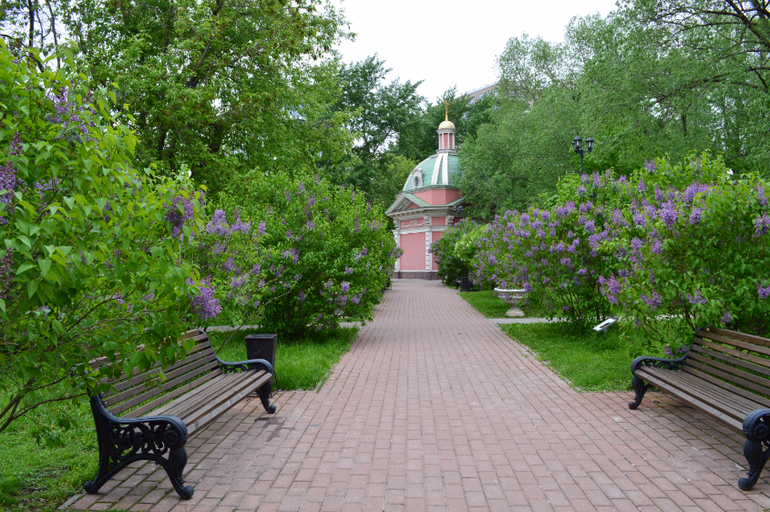 Суворовский парк в москве фото