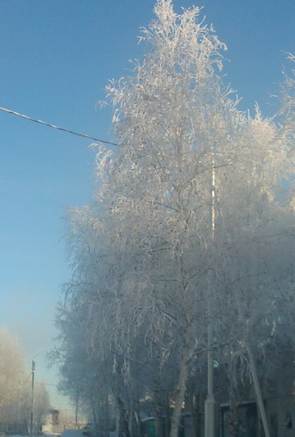 Зима