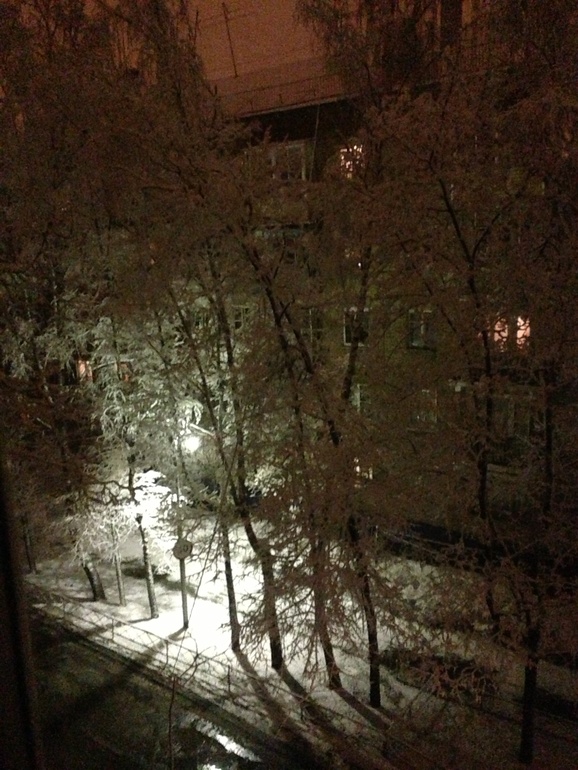 Снежок ноября 2013 года