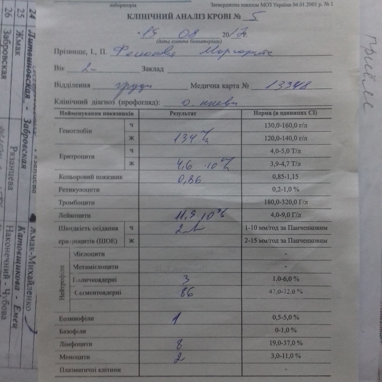 Сегментоядерные у собаки
