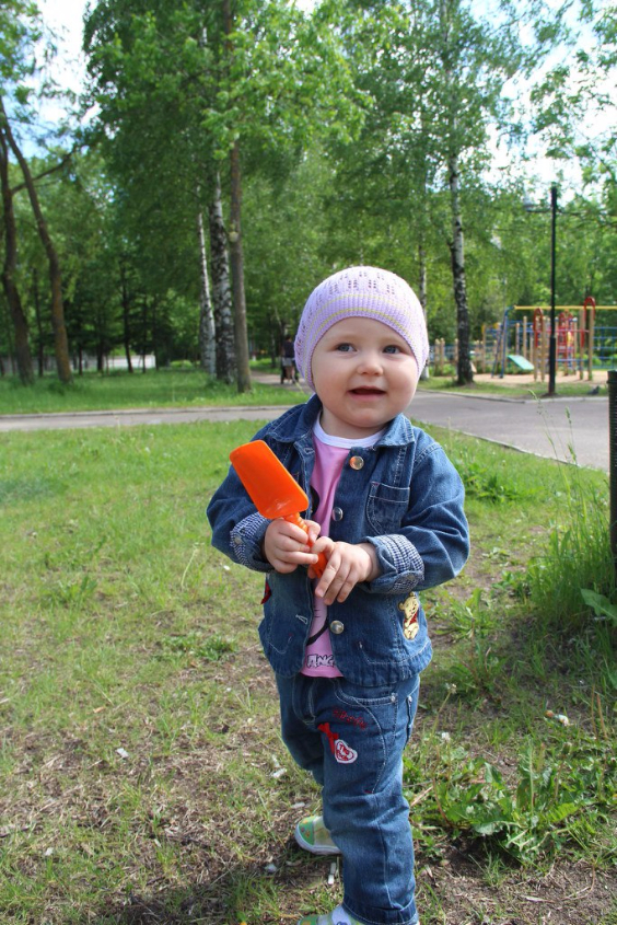 Картинка