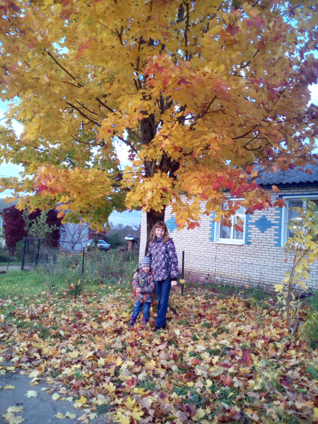 Картинка