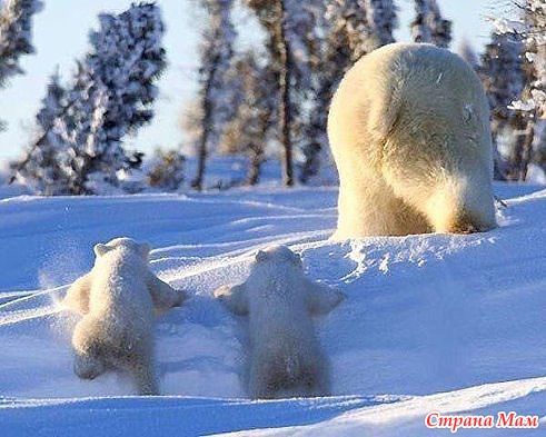 Улыбнитесь...