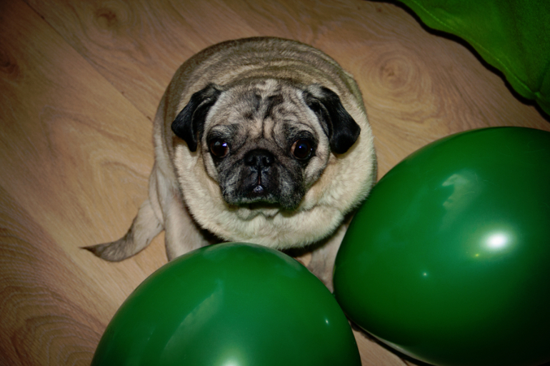 День рождения в стиле Груффало...