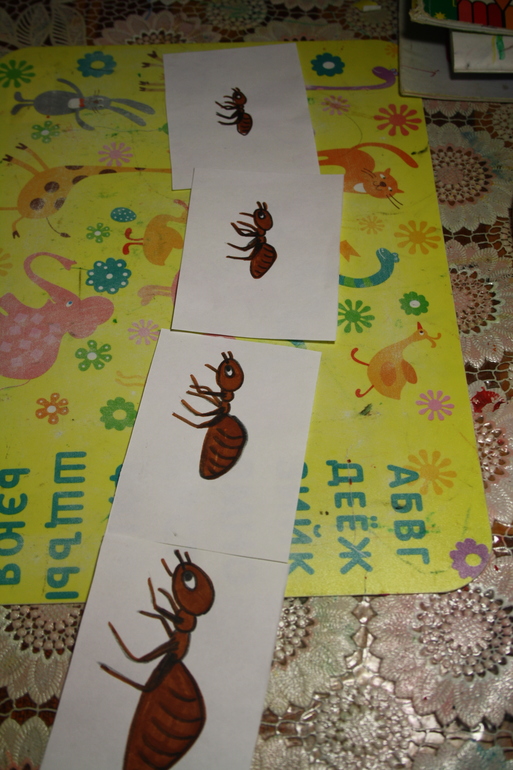 Насекомые. День 3.