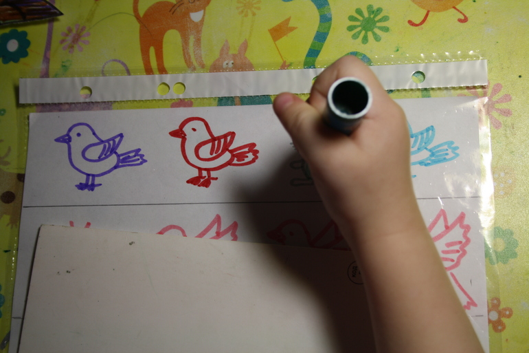 Птицы. 3. Городские.