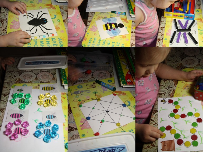 Насекомые. День 2.