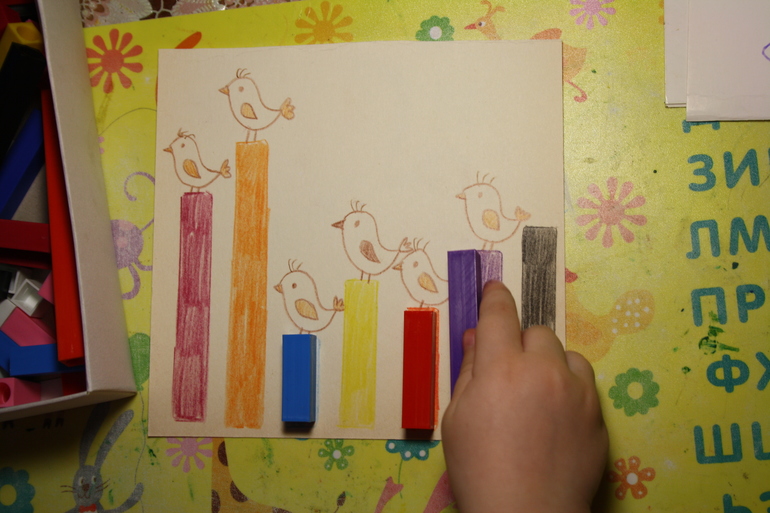 Птицы. 3. Городские.