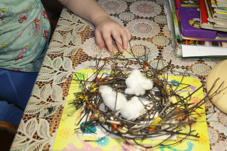 Птицы. 5. Обобщение.