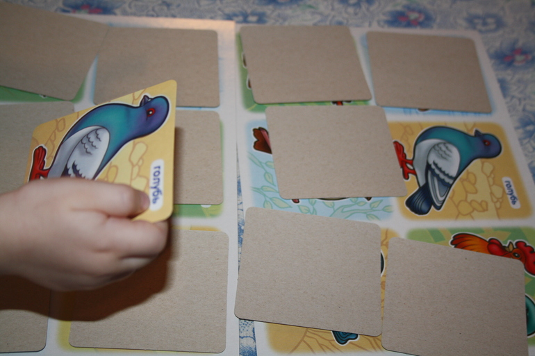 Птицы. 2. Домашние.