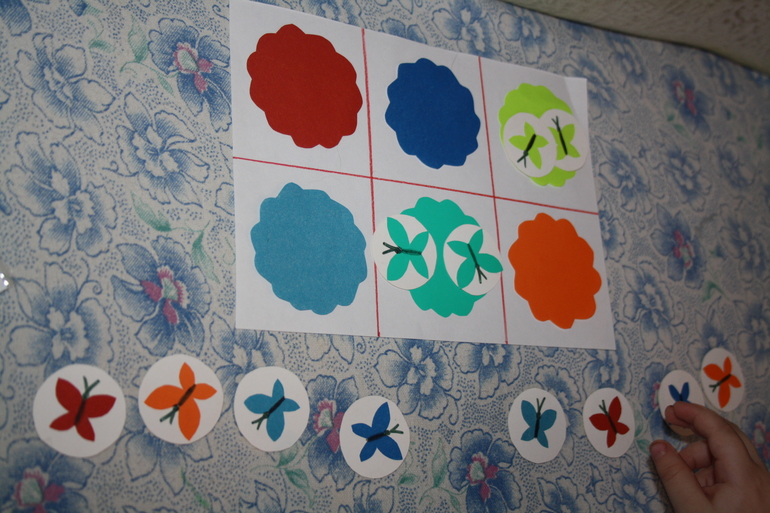 Насекомые. День 1.