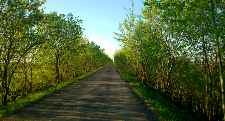 Вдоль Москва реки.