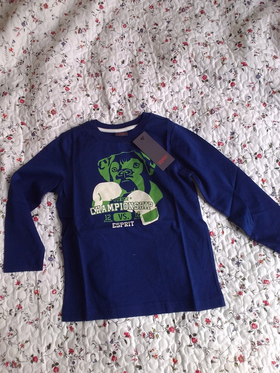 Одежда для мальчика. Zara, adidas, Geox, Esprit