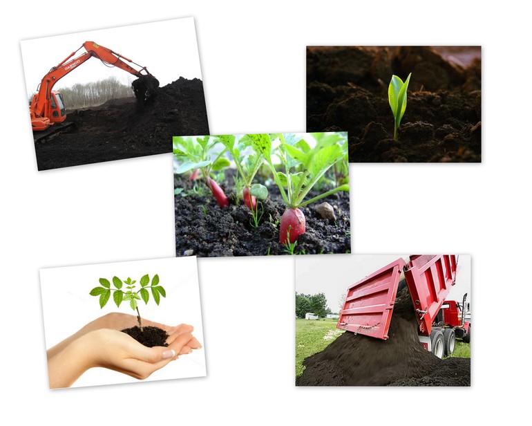 Тульский чернозем