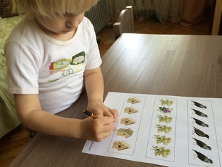 Наш отчет по ТЗ