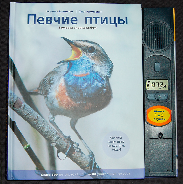 Голос Ночной Птицы Книга Купить