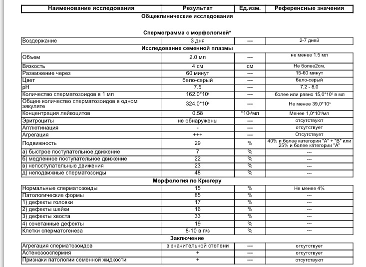 Морфология по крюгеру расшифровка. Агглютинация сперматозоидов спермограмма. Основные термины спермограммы по Крюгеру. Анализ спермограммы норма агглютинации. Спермограмма с морфологией по Крюгеру.