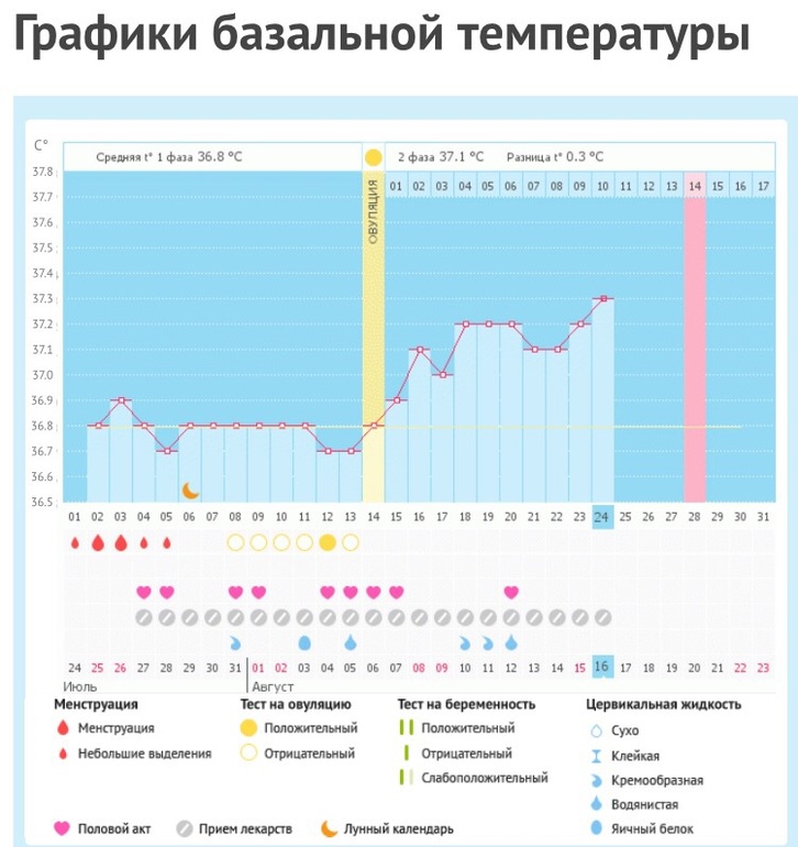 Мой график