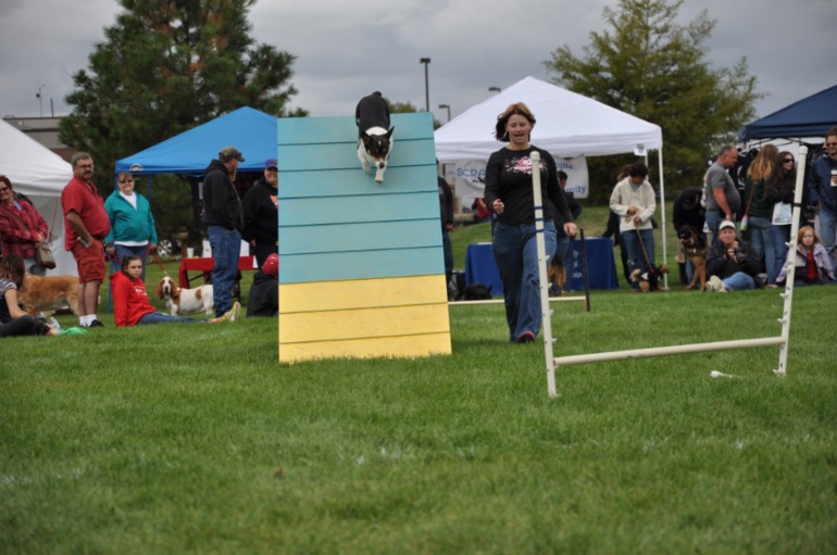 d439754b8889a866f2798bf9c3d2d89e.jpg