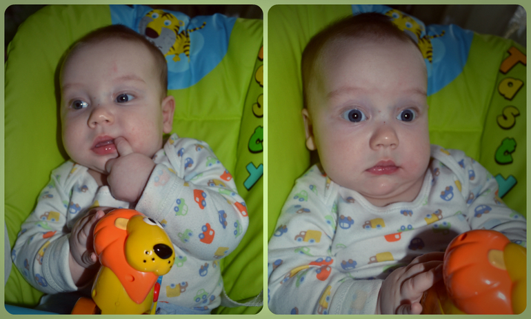 Роберту 5 месяцев!