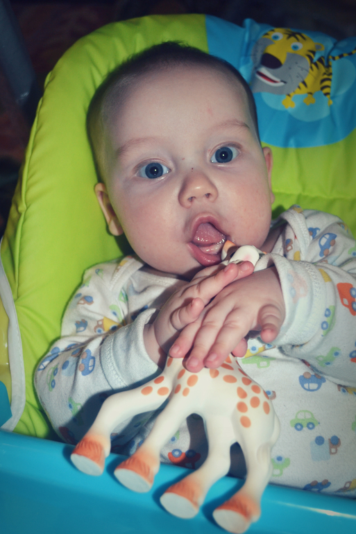 Роберту 5 месяцев!