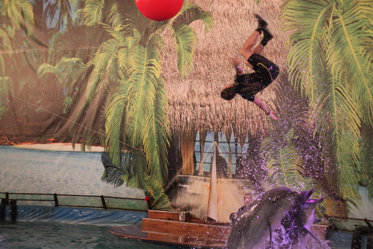 Дельфинарий