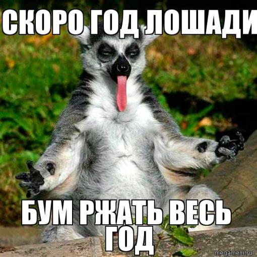 Смешное: лемур узбагойся :)