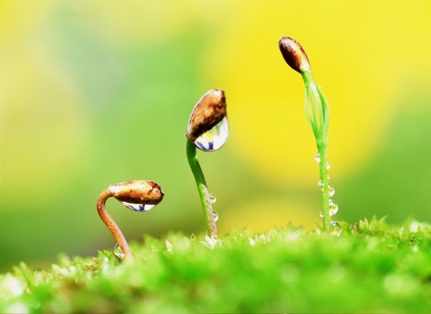 10 фильмов о новой жизни, которая начинается после расставания