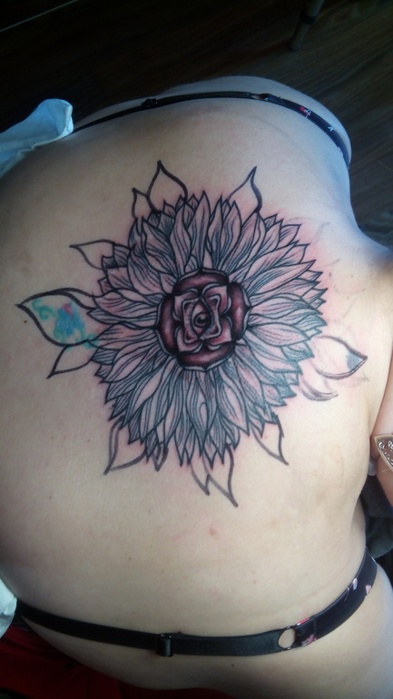 мои новинки