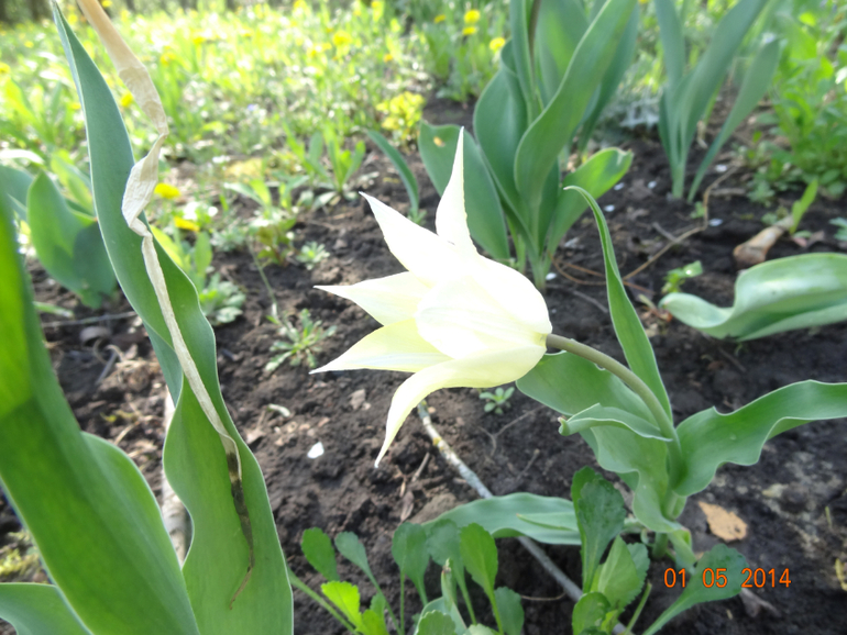 Выходные на даче.