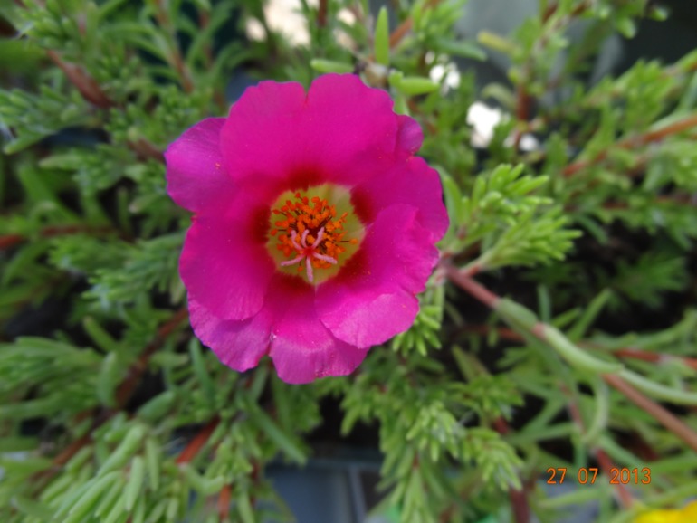 Наш отпуск в Октябрьском Курской обл.