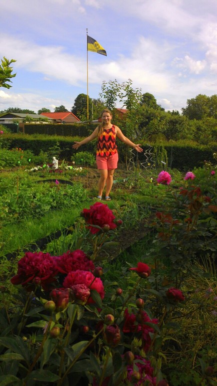 Чудесный день