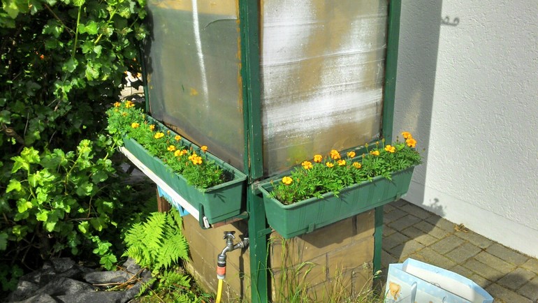 Чудесный день