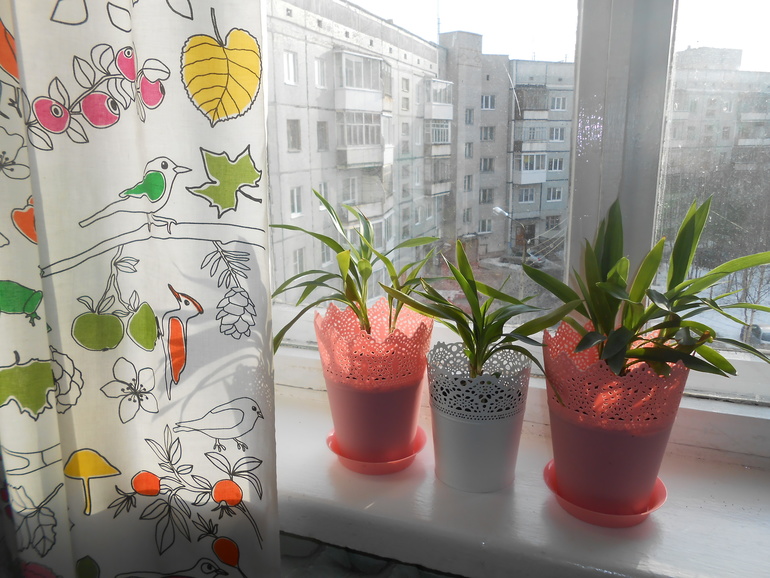 1 марта ЛЕТО