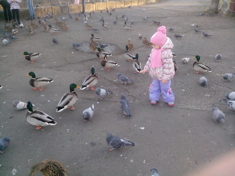 b6ddf4ac37ebbd75a2dc1986ea82832f.jpg