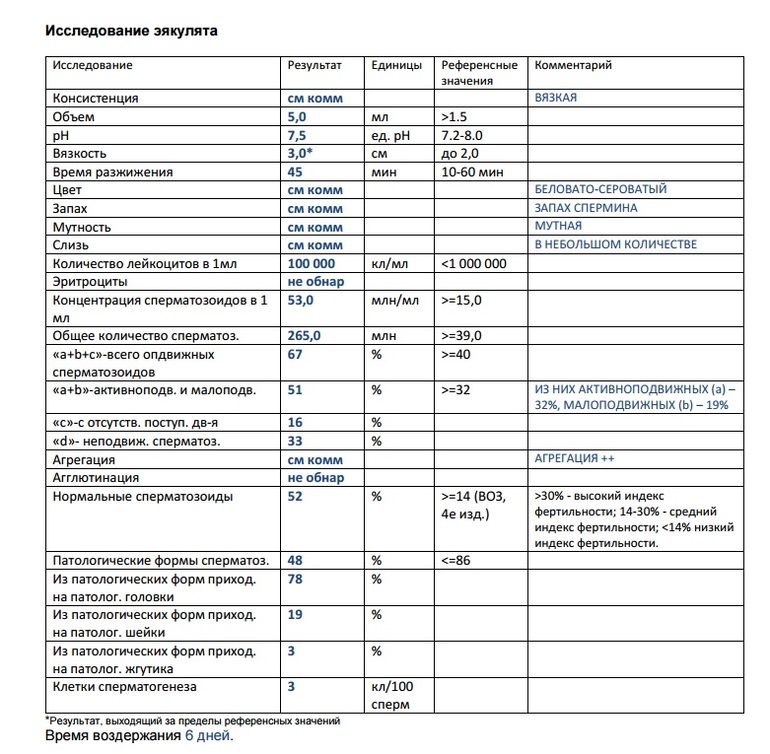 Образец результата спермограммы